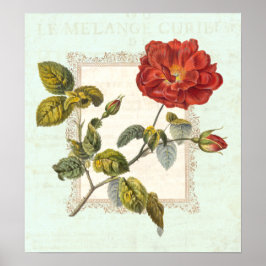 Vintage Röd ros Shabby Elegance Poster