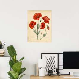 Vintage röd vallmo Botanisk illustrationskonsttryc Poster