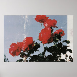 Vintage röda rosor mot en blå himmel poster