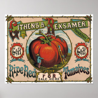 Vintage Rödtomater Poster
