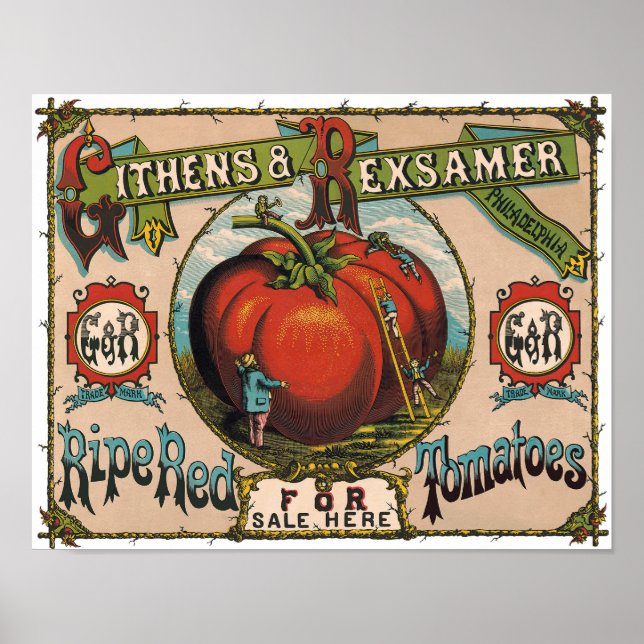 Vintage Rödtomater Poster (Framsidan)