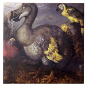 Vintage Roelant Savery Saverys Dodo Kakelplatta