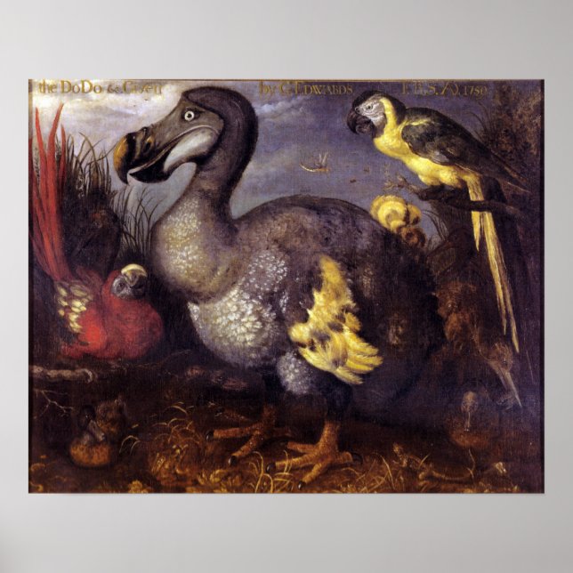 Vintage Roelant Savery Saverys Dodo Poster (Framsidan)