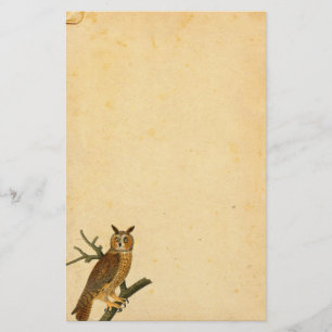 Vintage Roligt-tittar ugglaParchmentpapper Brevpapper