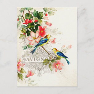 Vintage Romantic Fransk Birds Stationary Vykort