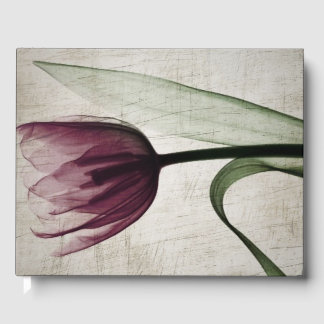 Vintage Röntgen-Tulpan Gästböcker