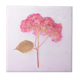 Vintage Rosa av antika Chic Hydrangea Land Blommig Kakelplatta