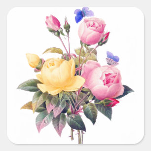 Vintage Rosa av vattenfärg och Gul ros botaniskt Fyrkantigt Klistermärke