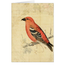 Vintage Rosa Bird Hälsningskort