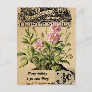 Vintage Rosa Blommor Tre cent Första födelsedagen Vykort