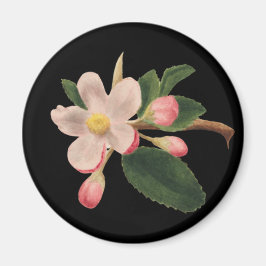 Vintage Rosa Blomning Magnet