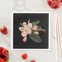Vintage Rosa Blomning