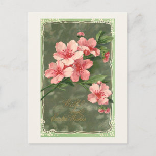 Vintage Rosa Cherry Blommar och Påsk Hälsning Vykort