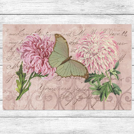 Vintage Rosa chrysanthemums Luna Moth Ephemera