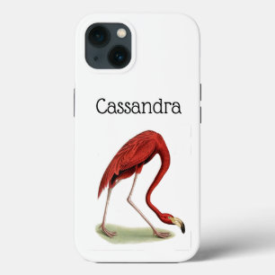 Vintage Rosa Flamingo #1