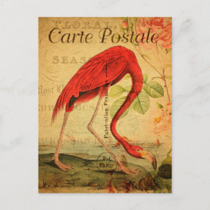 Vintage Rosa flamingo Blommigt Fransk Carte Postal Vykort