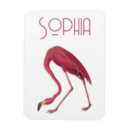 Vintage Rosa Flamingo Magnet