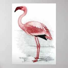 Vintage Rosa Flamingo Poster
