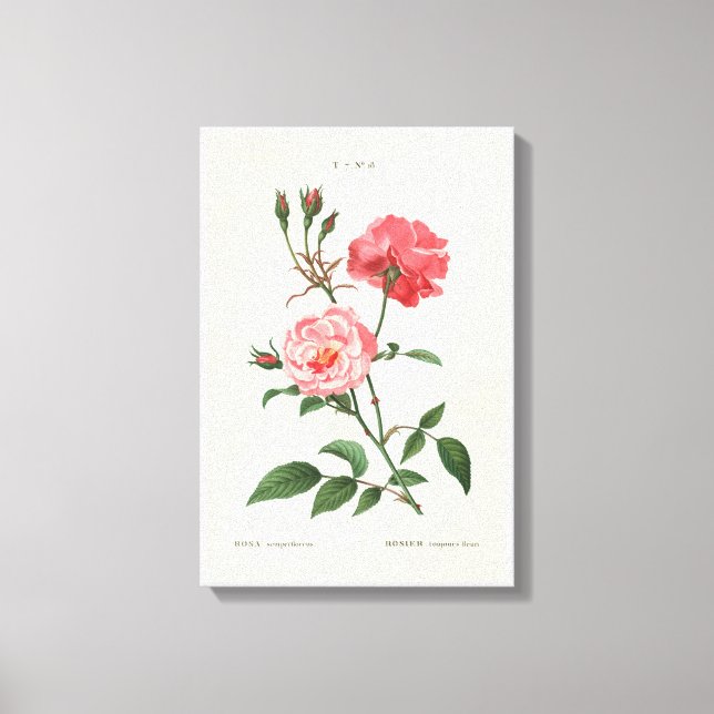 Vintage Rosa Flowers Canvastryck (Framsida)
