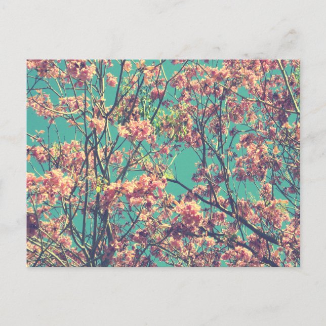 Vintage Rosa Flowers-foto Vykort (Framsida)