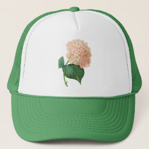 Vintage Rosa Hydrangea Hortensia Blomma av Redoute Keps