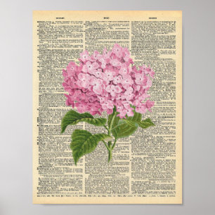 Vintage rosa hydrangea på en vintage ordlista poster
