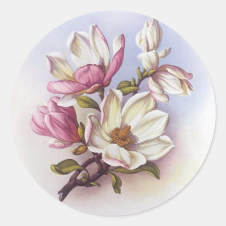 Vintage Rosa Magnolia Retro Botanical Stickers Runt Klistermärke