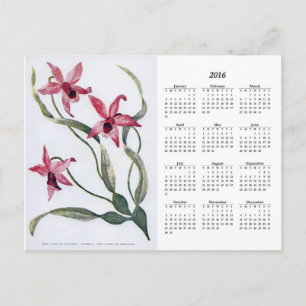 Vintage Rosa Orchid 2016 Blommigt - vykort för kal