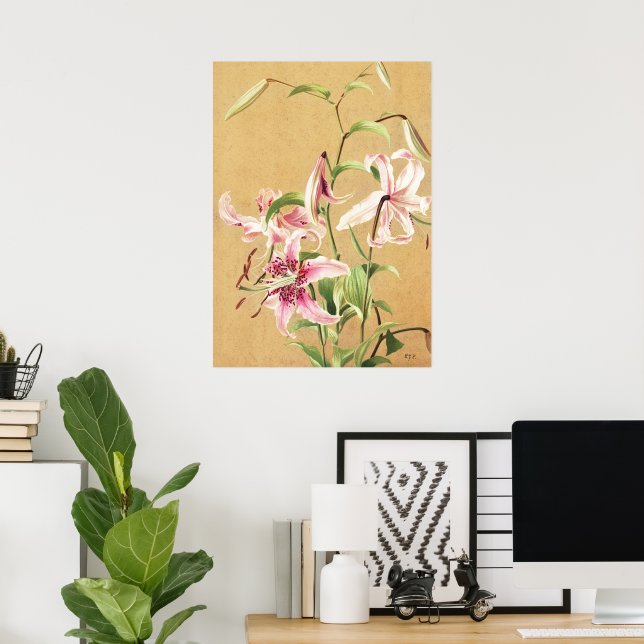 Vintage Rosa Orientalisk Lilja Botanisk Blomsterko Poster (Hemmakontoret)
