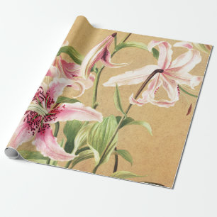 Vintage Rosa Orientalisk Lilja Botanisk Blomsterko Presentpapper