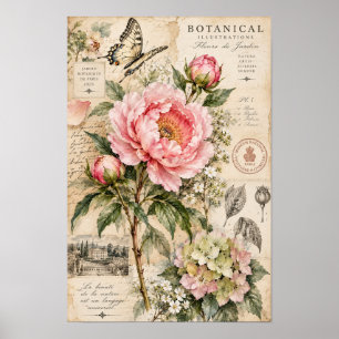 Vintage Rosa Peony Fjäril Botanisk Väggkonst
