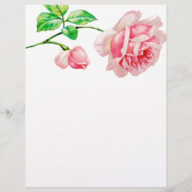 Vintage Rosa ros (Framsida)