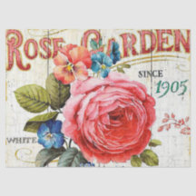 Vintage rosa ros all party