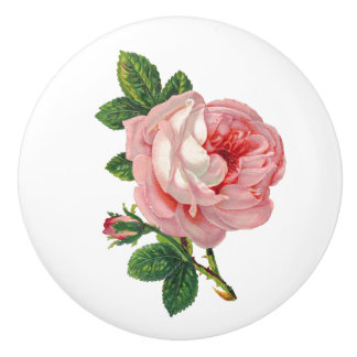 Vintage Rosa ros Botaniskt Knopp