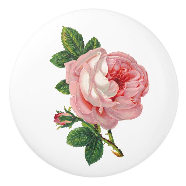 Vintage Rosa ros Botaniskt Knopp (Framsidan)