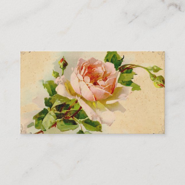 Vintage Rosa ros Business Profile Card Visitkort (Framsida)