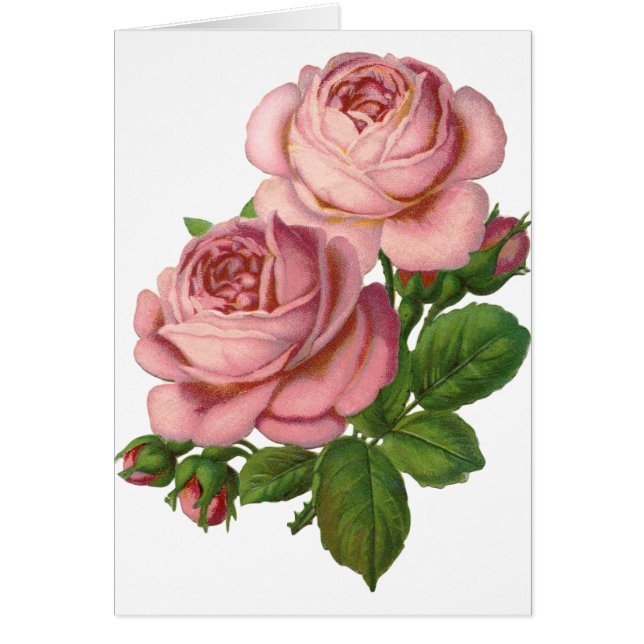 Vintage Rosa ros Hälsningskort (Framsidan)