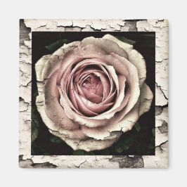 Vintage Rosa ros Magnet