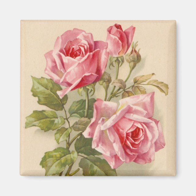 Vintage Rosa ros Magnet (Framsidan)