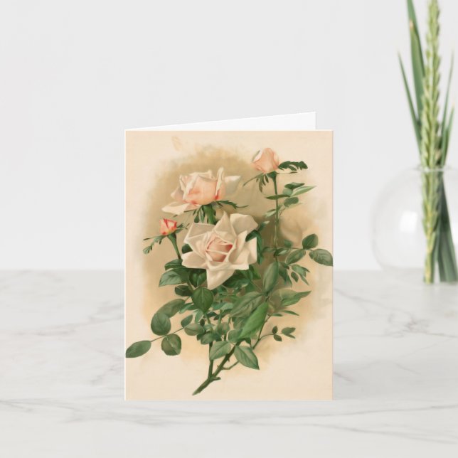 Vintage Rosa ros Note Card Kort (Framsida)