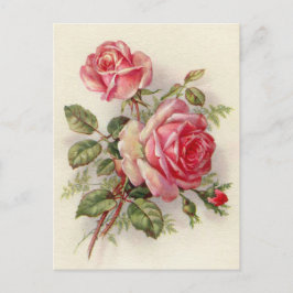 Vintage rosa ros Söt vykort