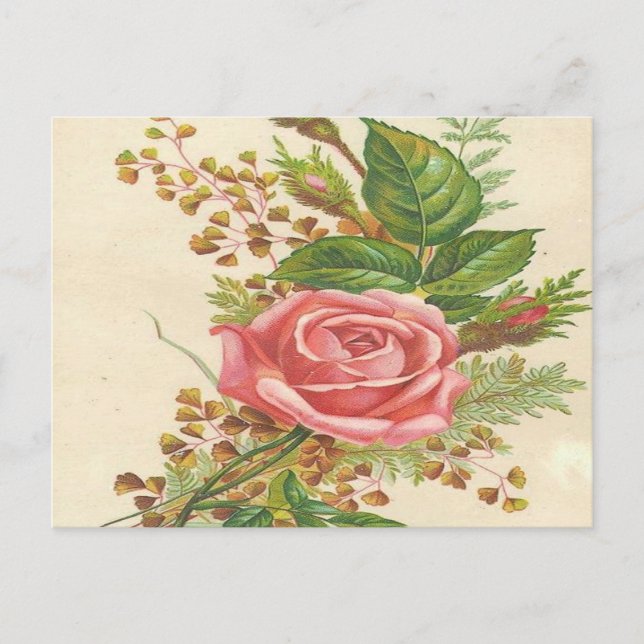 Vintage Rosa ros Vykort (Framsida)