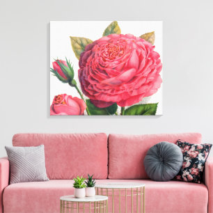 Vintage Rosa Rosa Illustration Canvastryck