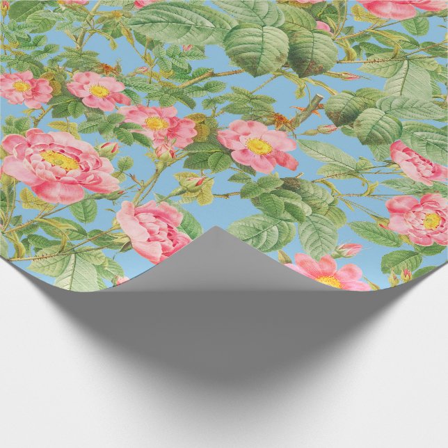 Vintage Rosa Rosa Presentpapper i Himmelblå (Hörn)