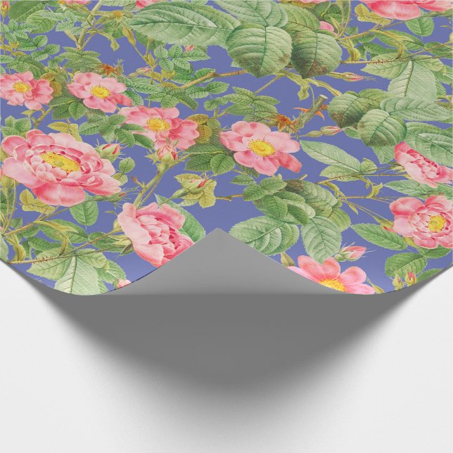 Vintage Rosa Rosa Presentpapper i Periwinkleblå (Hörn)