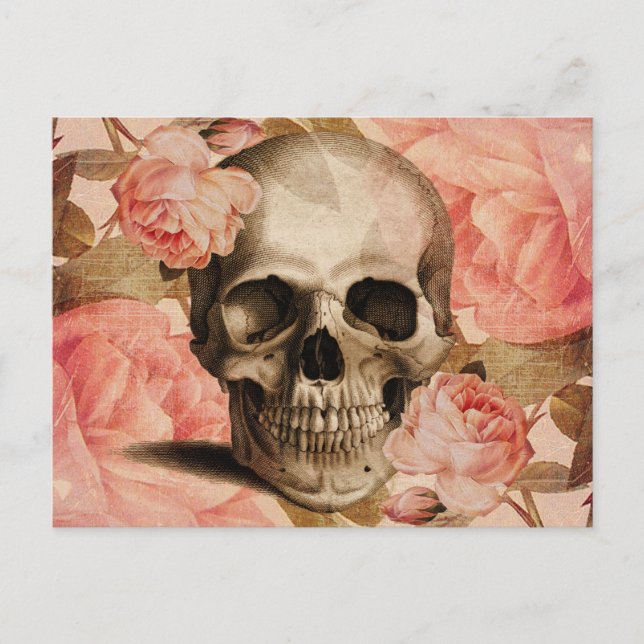 Vintage Rosa Skull Collage Vykort (Framsida)