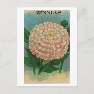 vintage rosa Zinas utsädespaket vykort