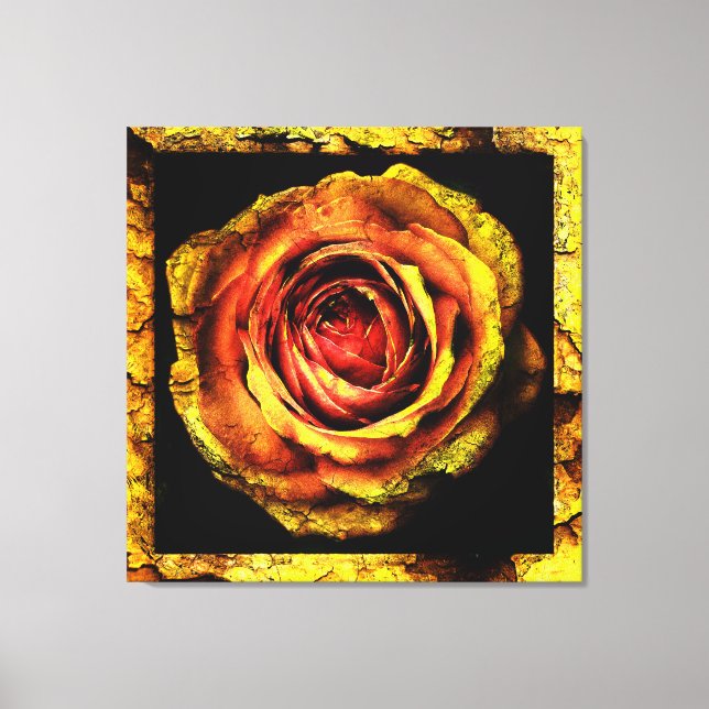 Vintage Rose 1 Insvept Canvas (Framsida)