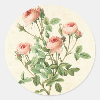 Vintage Rose-dekal Runt Klistermärke