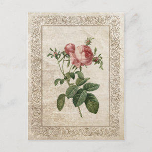 Vintage Rose III Vykort